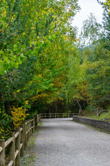 Andorra Engolasters. Montañas de los Pirineos. En la cima de los colores del follaje de otoño.