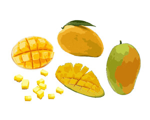 Set of vector illustrations of whole, sliced, peeled mango fruit isolated on white background.