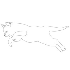 Continuous one line drawing of cat silhouette. Cute kitten jumping high in the air in abstract hand drawn style. Simple and minimalistic animal doodle vector illustration art.