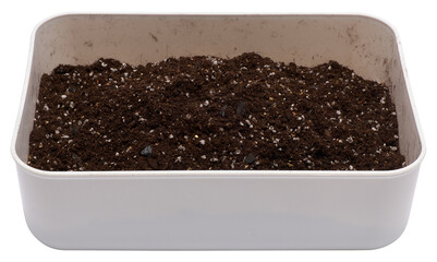 plastic box with substrate soil for transplanting houseplants isolated