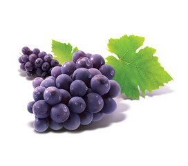 Grapes, leaves isolated on white background