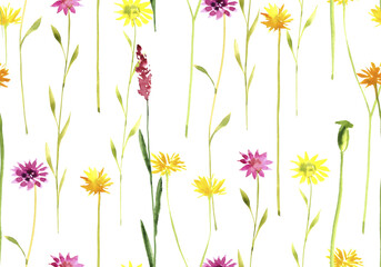 watercolor drawing seamless pattern with wild flowers at white background, hand drawn illustration
