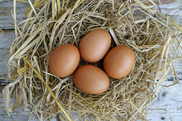 Fresh chicken eggs on dry straw and wooden table in rural village farm in Thailand.