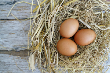 Fresh chicken eggs on dry straw and wooden table in rural village farm in Thailand.