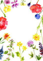Obraz premium watercolor drawing wild flowers at white background, hand drawn illustration
