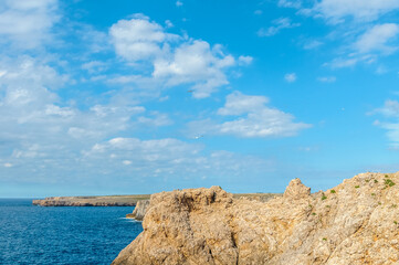 Fototapeta na wymiar Seagull over Sa Falconera in Menorca Island, Spain.