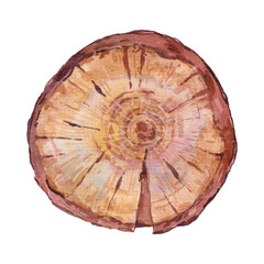 Wood Png Format With Transparent Background	