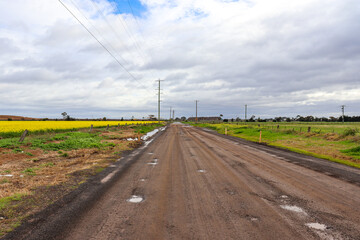 road in the countryside with canola