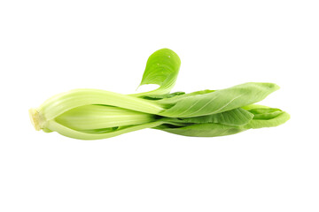 green lettuce for cooking isolated on white background.