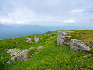 stones and boulders on the grassy meadow. green landscape in summer. rainy weather in mountains with overcast sky