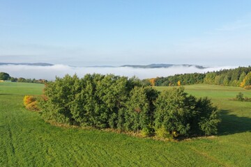 Naklejka premium Morning fog