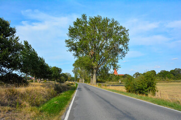 Fototapeta na wymiar Empty country road with trees and sky