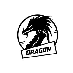 Dragon logo icon flat vector image