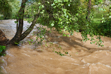 River flash flood