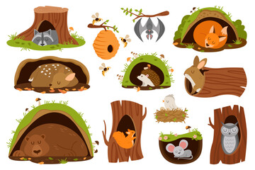 Cartoon animals inside burrow. Cute owl, fox, mouse, rabbit, bear, deer, squirrel, raccoon sleeping