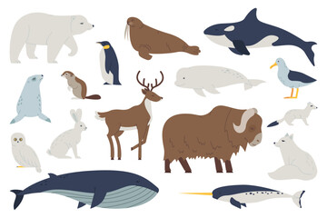 Set of arctic animals and birds. Whale, polar bear, penitemn, reindeer, rabbit, dolphin, walrus, ox