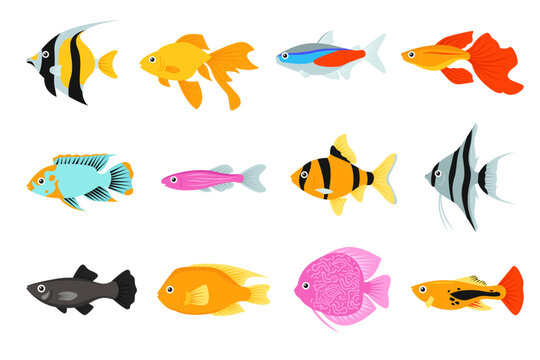 Set of colorful aquarium fish isolated. Cartoon tropical underwater ocean fish in pink and orange