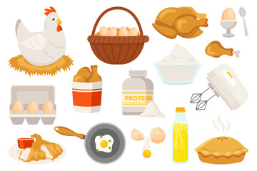 Chicken products set. Fresh hen, poultry, meat, eggs raw and cooked. Chick sitting in nest, protein