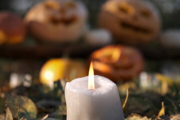 Obraz na płótnie Canvas Burning Candle Close Up on Blurred Halloween Pumpkins Heads Background. Pumpkin with Carved Scary Smiling Face Outside. Jack-O-Lantern Outdoors. Halloween Composition Backyard Decor. All Saints Day