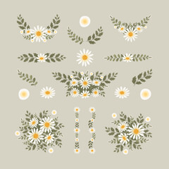 Isolated white daisy flowers wreath with branch and leaves. Vector bouquet and decorative object. Blooming floral material for graphic design.