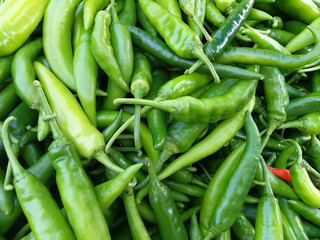 Several large green chilies on a large tray spicy taste for cooking.