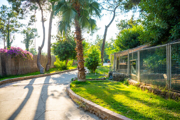Animals in the small zoo in Antalya, Turkey
