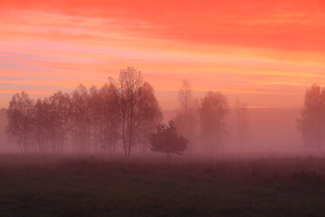 Obraz na płótnie Canvas Wschód słońca nad zamgloną łąką. Pażdziernik. Polska
