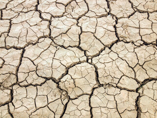 Textura,  suelo seco. Texture, dry soil.