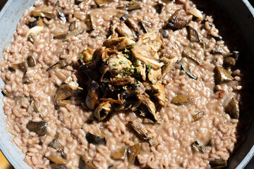 wild mushroom red risotto in a bowl made of which bolete