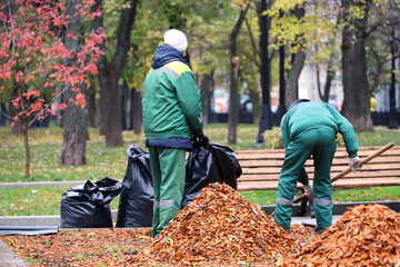 Two workers clean the lawns in autumn park. City improvement, man and woman janitors with shovel...