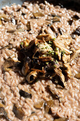 wild mushroom red risotto in a bowl decorated with fried parasol
