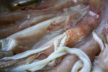 Fresh and plump seafood squid