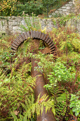 Carmears Wheel Pit Luxulyan Valley. Nature Reclaiming Waterwheel Remains 