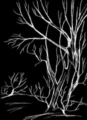 Obraz premium Landscape with a forest, where bare branches near trees and bushes