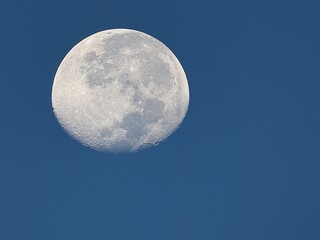 The early morning moon, although the sky has brightened, the moon is still clear and bright.