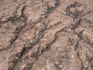 Close-up shot of the textured surface of a brown and grey rock with deep creases. Neutral background