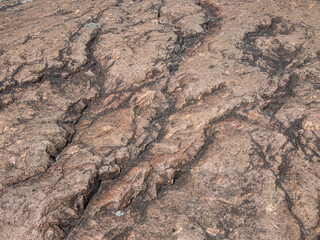 Close-up shot of the textured surface of a brown and grey rock with deep creases. Neutral background