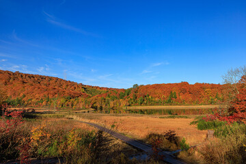 秋の八幡平、後生掛の大沼の紅葉