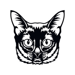 Burma Cat Vector, Peeking Cats, Cats Breed, Pet Vector portrait, Cats Head