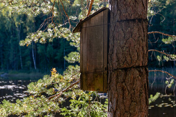 Wooden birdhouse tied to a tree with a forest pond in the background