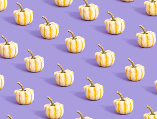 Pattern made of white with yellow lines pumpkin on purple colored background. Minimal autumn concept. Creative fall idea. Season of pumpkin in October.