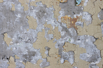 Peeling paint on the wall. Old concrete wall with cracked flaking paint. Weathered rough painted surface with patterns of cracks and peeling. Grunge texture for background and design. High resolution.