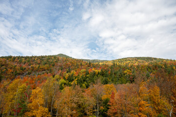 Fototapeta premium Original name(s): Autumn view into the side of a mountain in the Adirondacks