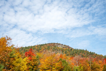 Original name(s): Autumn view into the side of a mountain in the Adirondacks
