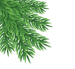 Naklejka na ściany i meble Green fir branches, decoration for Christmas and New Year on a transparent and white background. Universal template for flyers, postcards, price tags, invitations, Christmas tree vector no raster