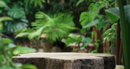 Wood tabletop counter podium floor in outdoors tropical garden forest blurred green leaf plant...