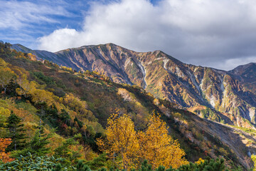 紅葉の天狗の庭