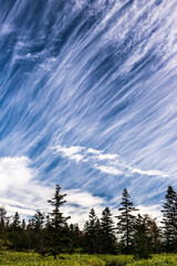 芳ヶ平登山道ダマシ平から秋の雲