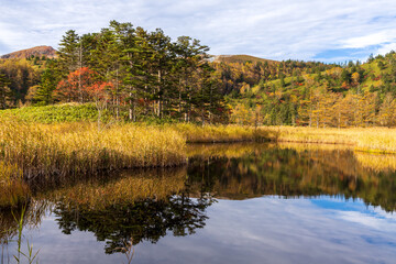 秋の芳ヶ平トレッキング