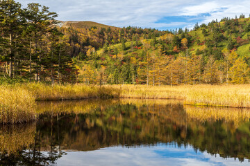 秋の芳ヶ平トレッキング